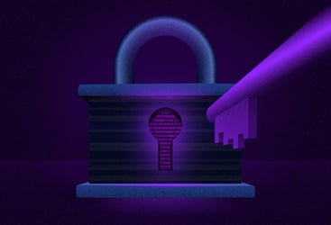 Software behind a lock and key